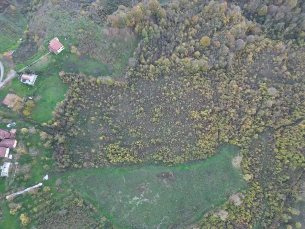 Satılık Arsa - Tagorek Mahallesi, 30000 m² — görsel 4