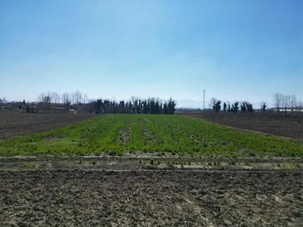 Satılık Arsa - Sofular Mahallesi, 7724 m² — görsel 2