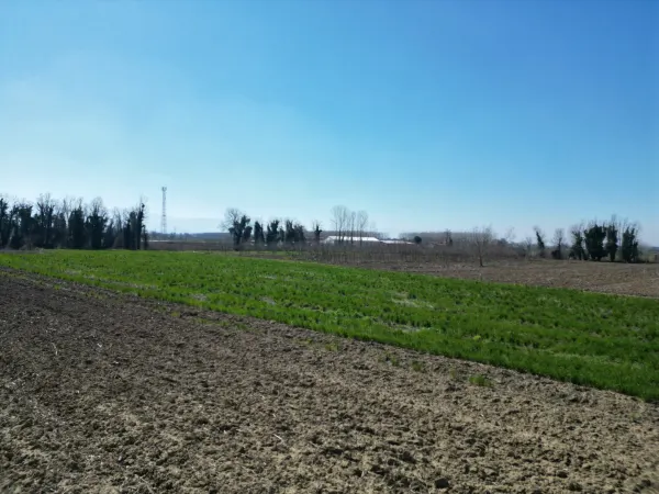 Satılık Arsa - Sofular Mahallesi, 7724 m² — görsel 3