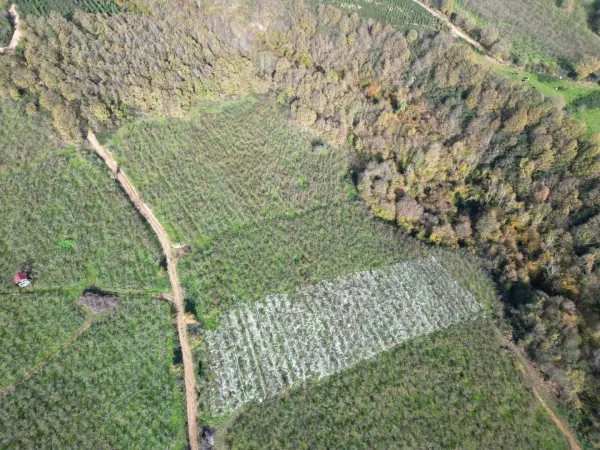 Satılık Arsa - Lütfiyeköşk Mahallesi, 2700 m² — görsel 4
